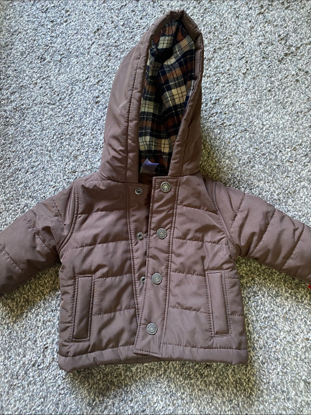 Carter's Brown Hooded 3m Puffer Jacket